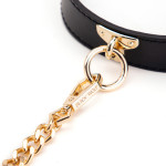 Golden Chain Lead Collar