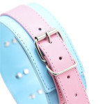 Blue And Pink Neck Collar