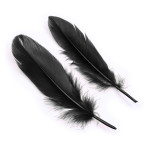 Feather Ticklers Kit With Cuffs & Blindfold
